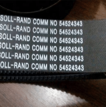 Ingersoll Rand 54524343 V-Belt - Image 3