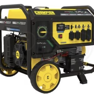 Champion 201083 Dual Fuel Generator