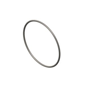 Cummins C3940386 O-Ring Seal