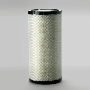 Donaldson P780522 Air Filter