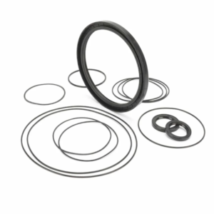 Genie 102126GT Seal Kit