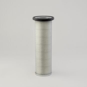 Donaldson P119375 Air Filter