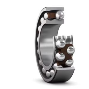 SKF 1206 ETN9 Self Aligning Ball Bearing