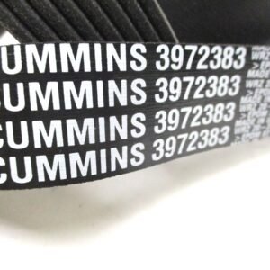 Cummins 3972383 V Ribbed Belt