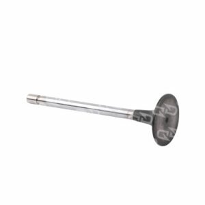 MTU 4570530001 Intake Valve