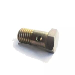 Deutz 01119246 Hollow Screw