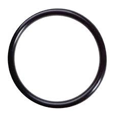 Cat Pumps 11345 O-Ring
