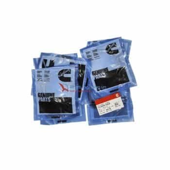 Cummins A055M406 Piston Ring Kit